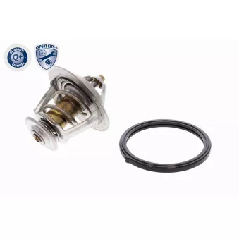 Thermostat d'eau ACKOJA A52-99-0010
