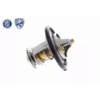 Thermostat d'eau ACKOJA A52-99-0010 - Visuel 3