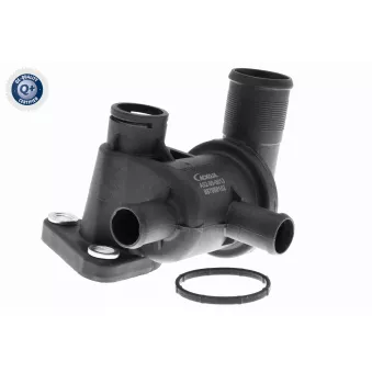 Thermostat d'eau ACKOJA A52-99-0013