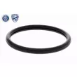 Thermostat d'eau ACKOJA A52-99-0015 - Visuel 2