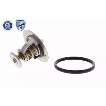 Thermostat d'eau ACKOJA A52-99-0026