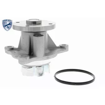 Pompe à eau ACKOJA A53-50010