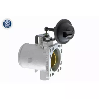 Corps papillon ACKOJA A53-81-0008