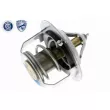 Thermostat d'eau ACKOJA A53-99-0001 - Visuel 1