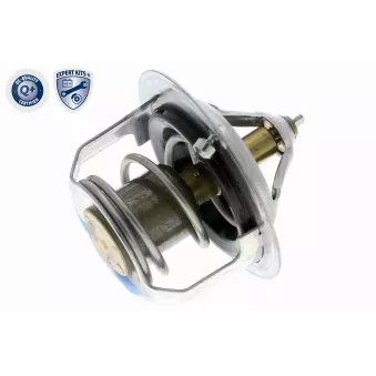 Thermostat d'eau ACKOJA A53-99-0001
