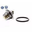 Thermostat d'eau ACKOJA A53-99-0002 - Visuel 1