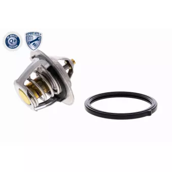 Thermostat d'eau ACKOJA A53-99-0002