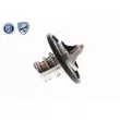 Thermostat d'eau ACKOJA A53-99-0002 - Visuel 3