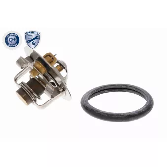 Thermostat d'eau ACKOJA A53-99-0008