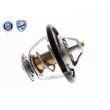 Thermostat d'eau ACKOJA A53-99-0011 - Visuel 3