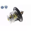 Thermostat d'eau ACKOJA A54-99-0003 - Visuel 1