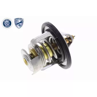 Thermostat d'eau ACKOJA A54-99-0003