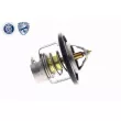 Thermostat d'eau ACKOJA A54-99-0003 - Visuel 2
