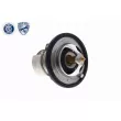 Thermostat d'eau ACKOJA A54-99-0003 - Visuel 3