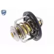 Thermostat d'eau ACKOJA A55-99-0001 - Visuel 1