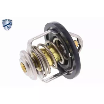 Thermostat d'eau ACKOJA A55-99-0001