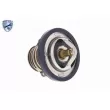 Thermostat d'eau ACKOJA A55-99-0001 - Visuel 3