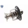 Thermostat d'eau ACKOJA A55-99-0002 - Visuel 1
