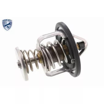 Thermostat d'eau ACKOJA A55-99-0002