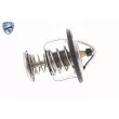 Thermostat d'eau ACKOJA A55-99-0002 - Visuel 2