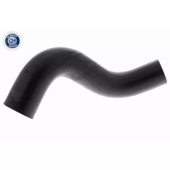 Durite de radiateur ACKOJA A63-1600