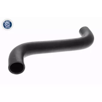 Durite de radiateur ACKOJA A63-1602