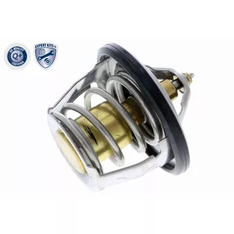 Thermostat d'eau ACKOJA A63-99-0001