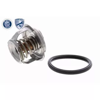 Thermostat d'eau ACKOJA A63-99-0004