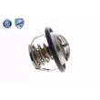 Thermostat d'eau ACKOJA A63-99-0004 - Visuel 3