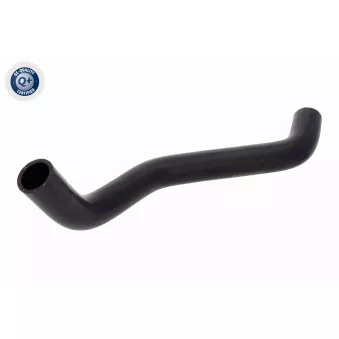 Durite de radiateur ACKOJA A64-1601
