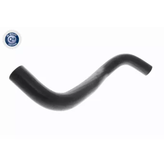 Durite de radiateur ACKOJA A64-1605