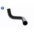 Durite de radiateur ACKOJA A64-1607 - Visuel 3