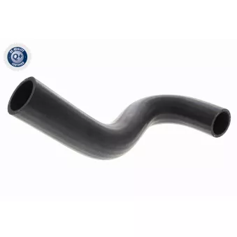 Durite de radiateur ACKOJA A64-1608