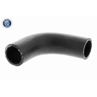 Durite de radiateur ACKOJA A64-1609