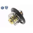 Thermostat d'eau ACKOJA A64-99-0002 - Visuel 1