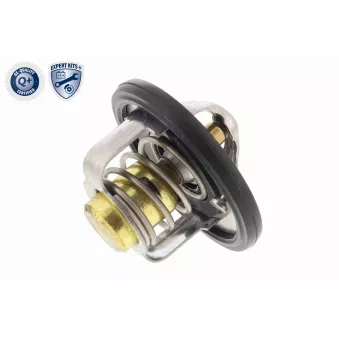 Thermostat d'eau ACKOJA A64-99-0002