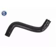 Durite de radiateur ACKOJA A70-1604 - Visuel 1