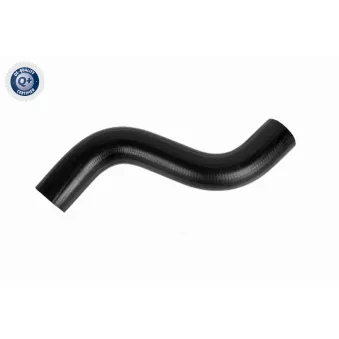 Durite de radiateur ACKOJA A70-1605