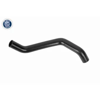 Durite de radiateur ACKOJA A70-1606