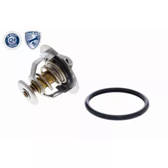 Thermostat d'eau ACKOJA A70-99-0003