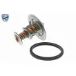 Thermostat d'eau ACKOJA A70-99-0012 - Visuel 1