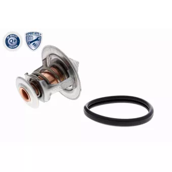 Thermostat d'eau ACKOJA A70-99-0031