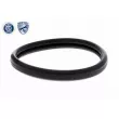 Thermostat d'eau ACKOJA A70-99-0031 - Visuel 2
