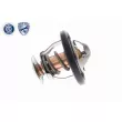Thermostat d'eau ACKOJA A70-99-0031 - Visuel 3