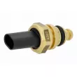 Sonde, température du liquide de refroidissement VEMO V95-72-0172 - Visuel 1
