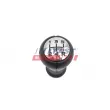 Pommeau FAST FT00084 - Visuel 2