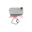 Radiateur d'huile FAST FT00660 - Visuel 1