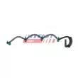 Tuyau, carburant de fuite FAST FT00984 - Visuel 1