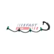 Tuyau, carburant de fuite FAST FT00984 - Visuel 2