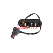 Interrupteur, contacteur de porte FAST FT10660 - Visuel 2